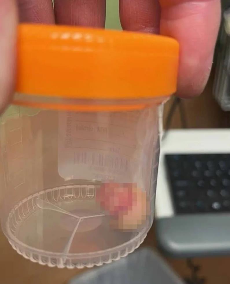 5385678667736637 image