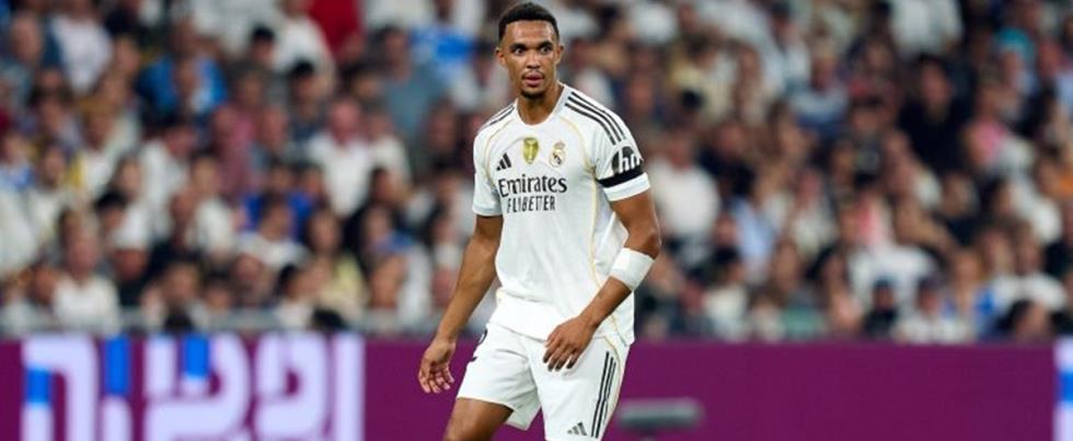 5386565365534699 cats