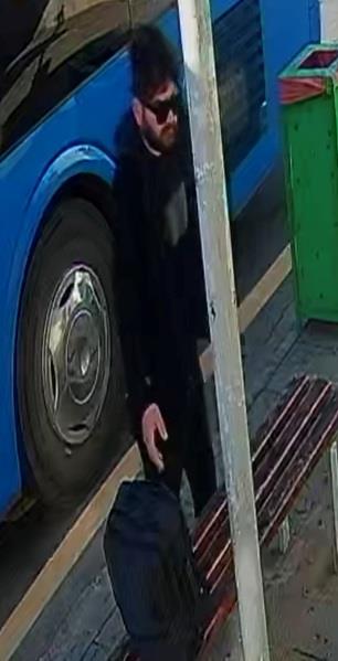 5386703022779330 image