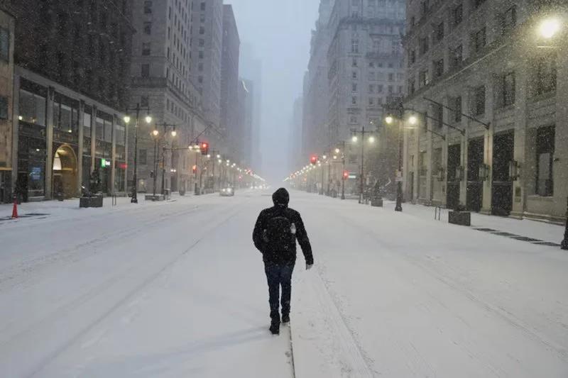 5386753587124528 image