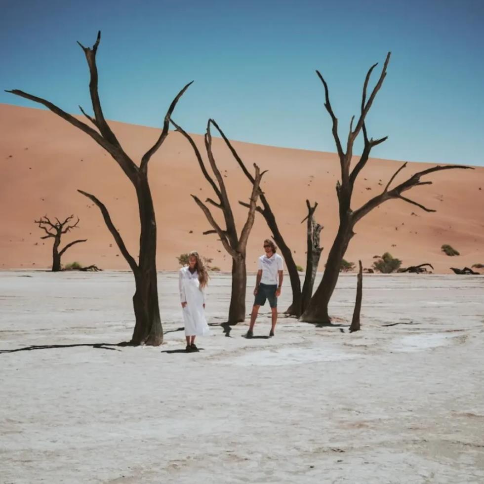 5387467451099985 image