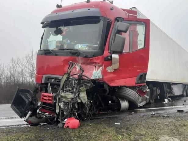 5388169511578022 image