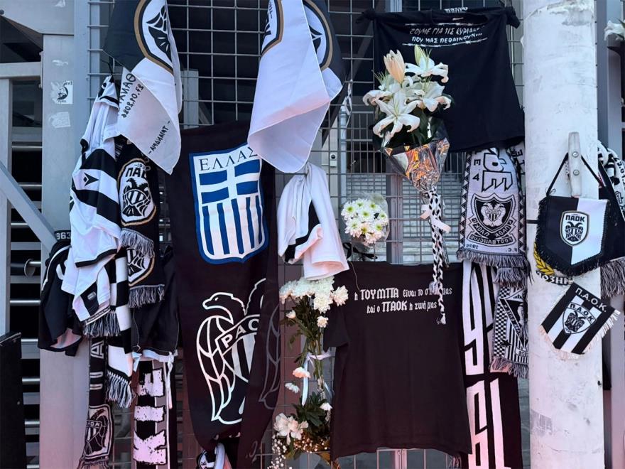 5388215254070812 image