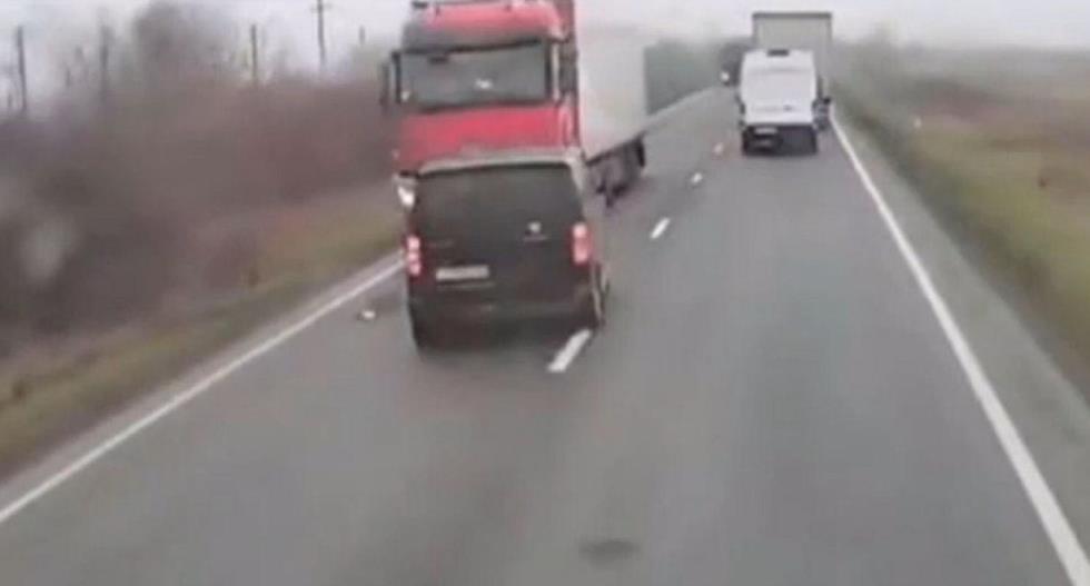 5388287154080829 image