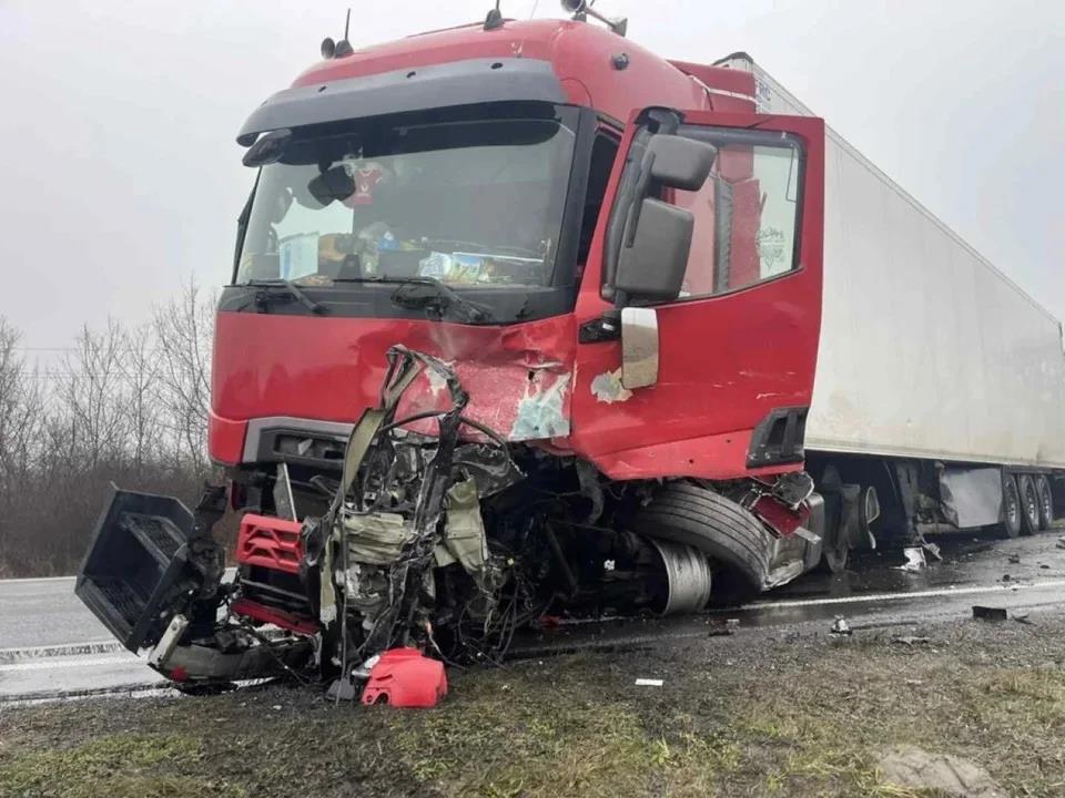 5388433600599156 image