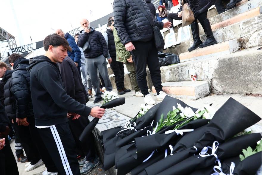 5388519882520125 image