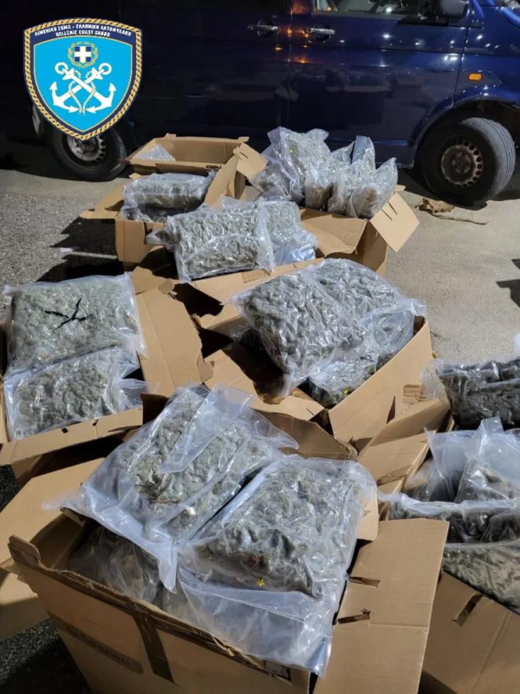 5389168117437184 image