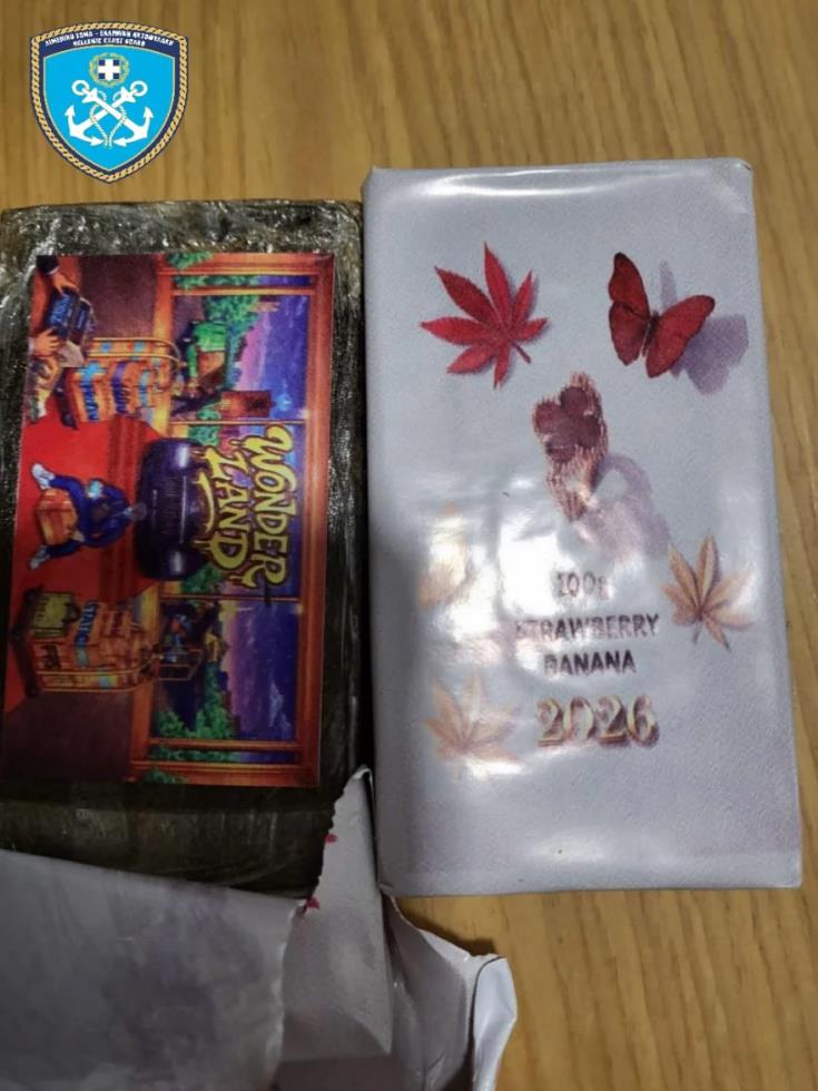 5389168163010233 image