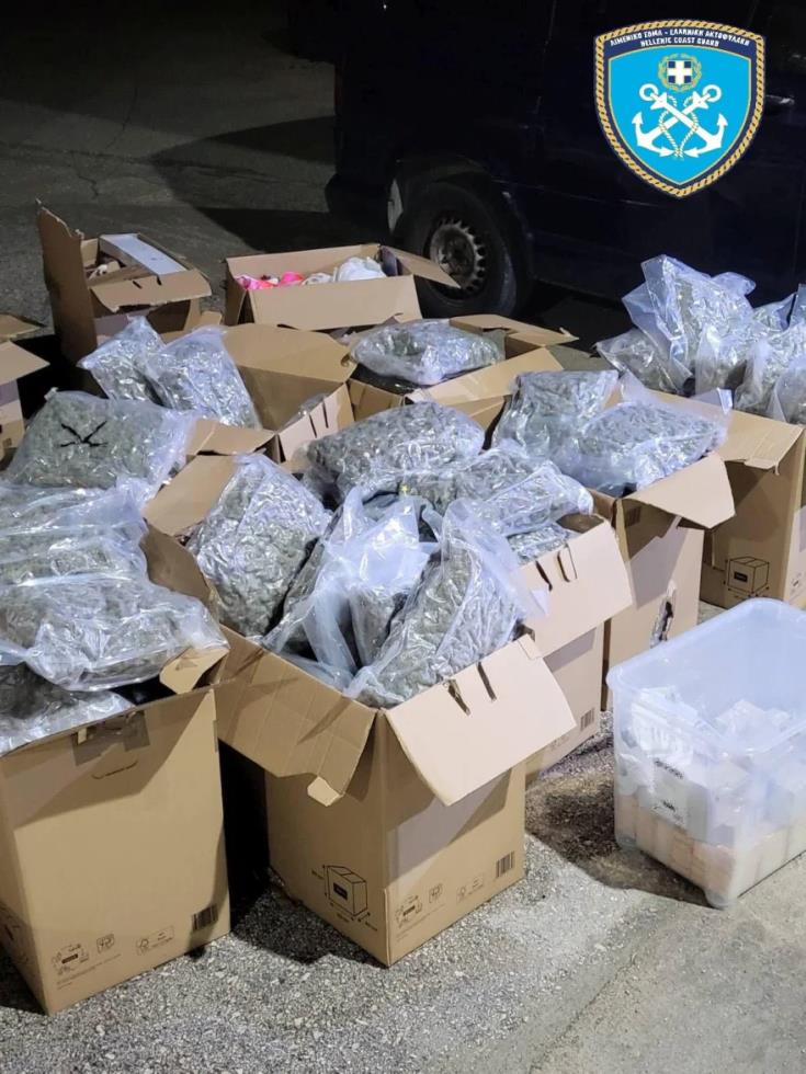 5389168262791404 image