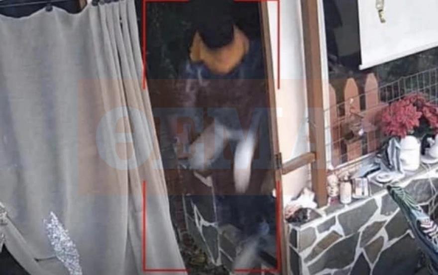 5390213027502769 image