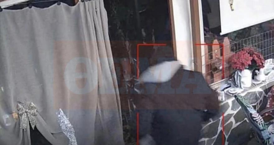 5390213144484203 image