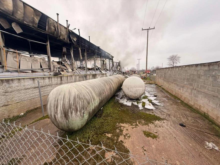 5390277767267013 image