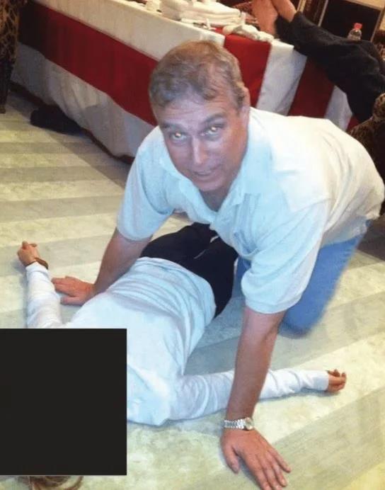 5390817727871228 image