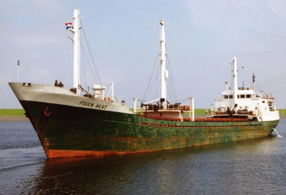 5390857582282931 image