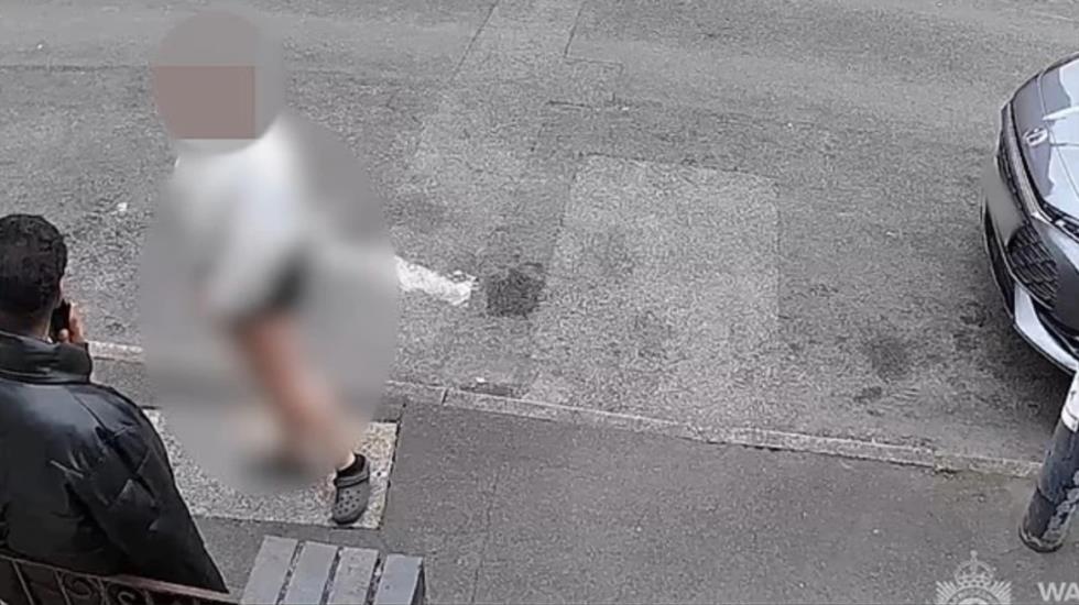 5390947967923984 image