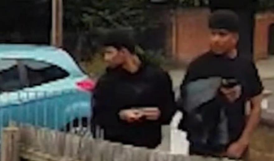 5390948328321559 image