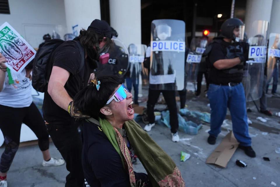 5390953054774169 image