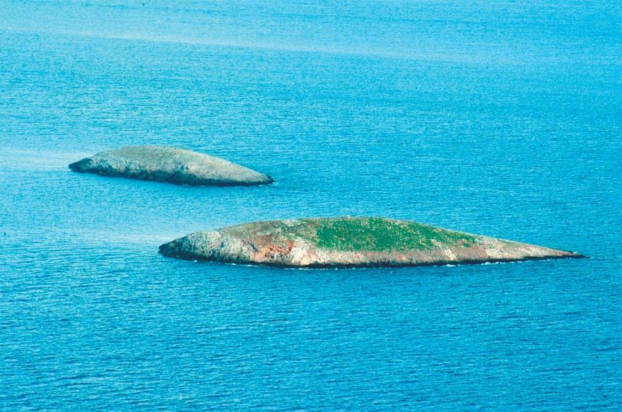 5391125097935729 image