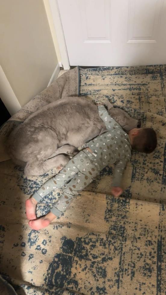 5391956682003994 image