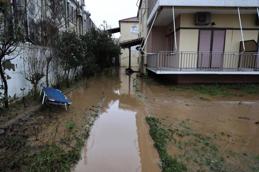 5391966794901695 image