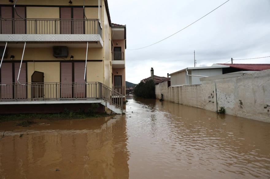 5391966855937167 image