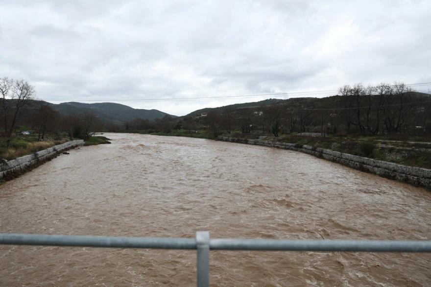 5391967106971281 image