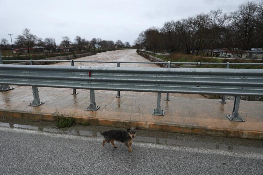 5391967191269996 image