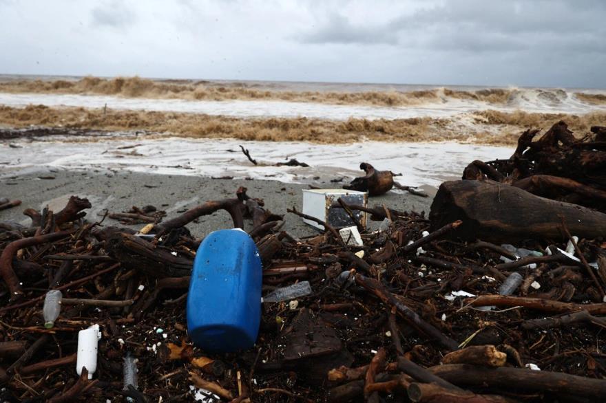 5391967248517741 image