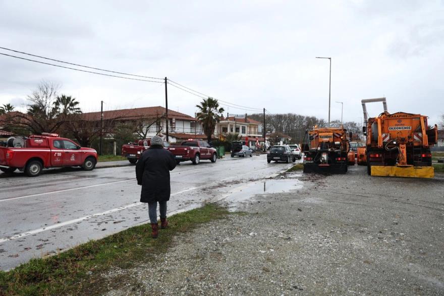 5391967362242302 image