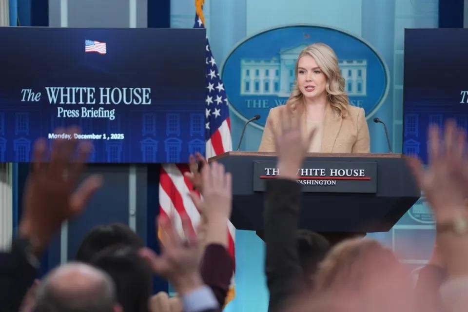 5392114855861746 image