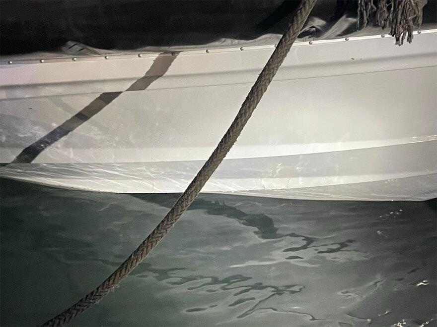 5394475059675033 image