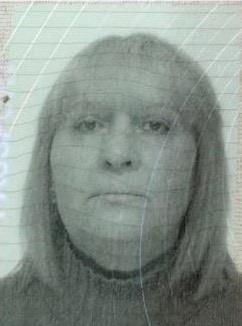 5394527894156099 image