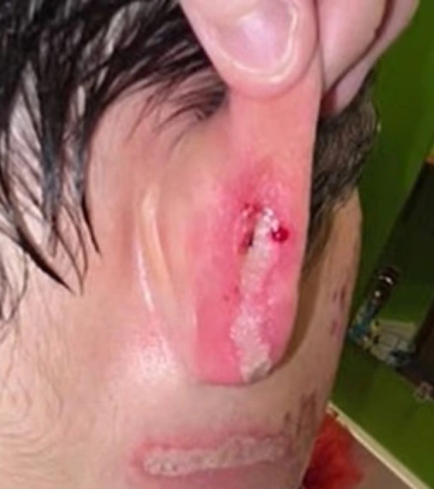 5394618658539874 image