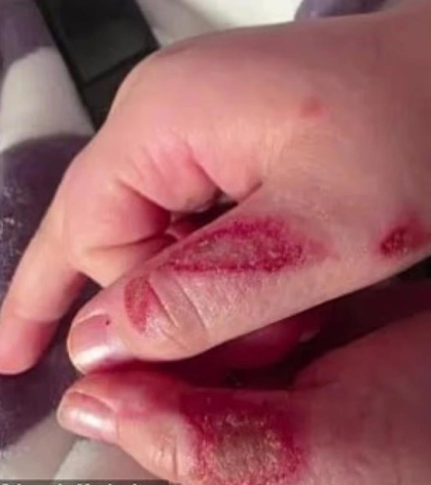 5394618730592022 image