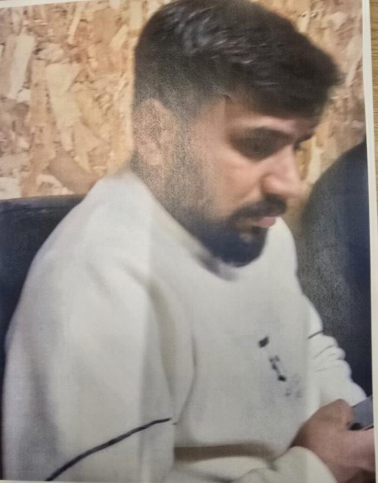 5395403243431423 image