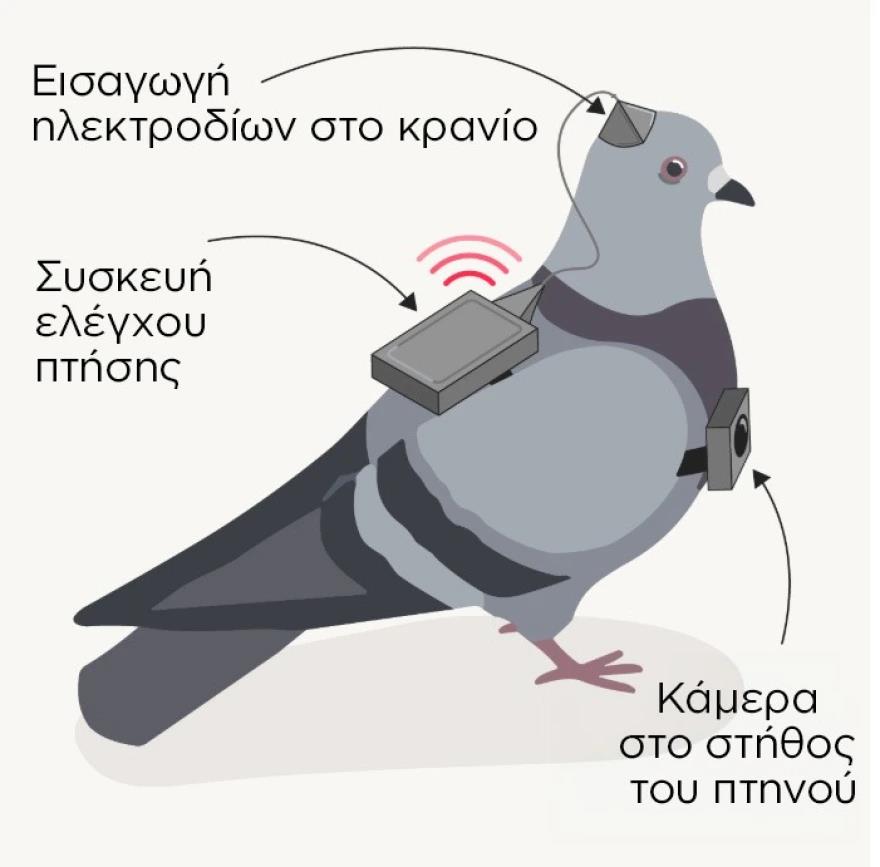 5395441877795734 image