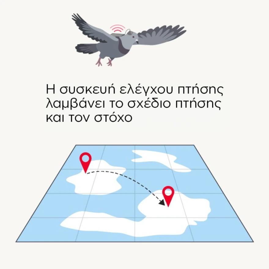 5395441967072812 image