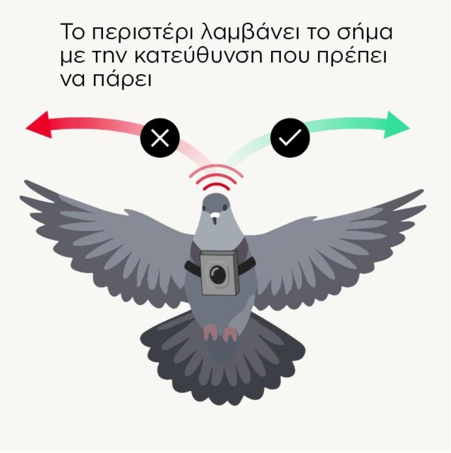 5395442023683469 image