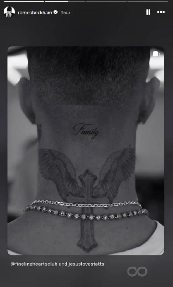 5398683071632017 image