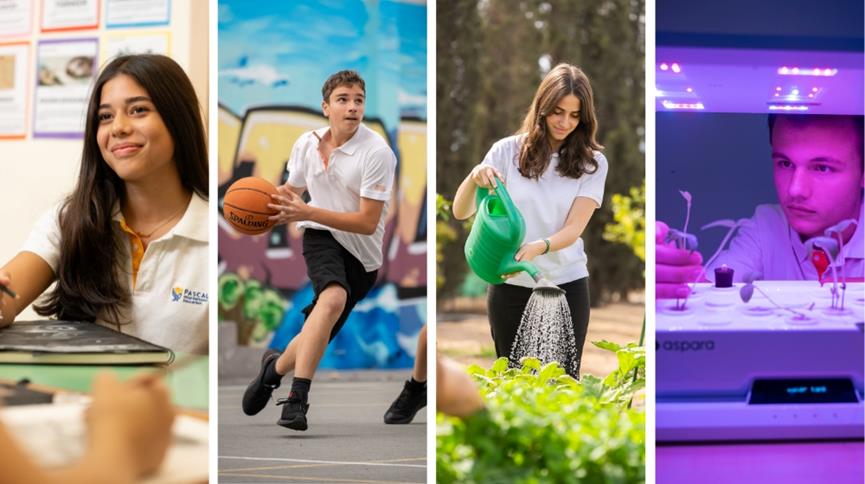 5399644649853535 image