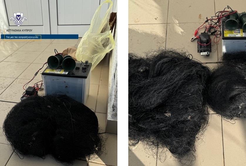 5400473392591271 image