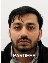 5400563488051918 image