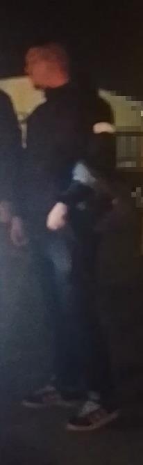 5401986101722473 image