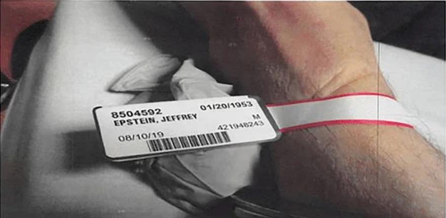 5403105614887185 image