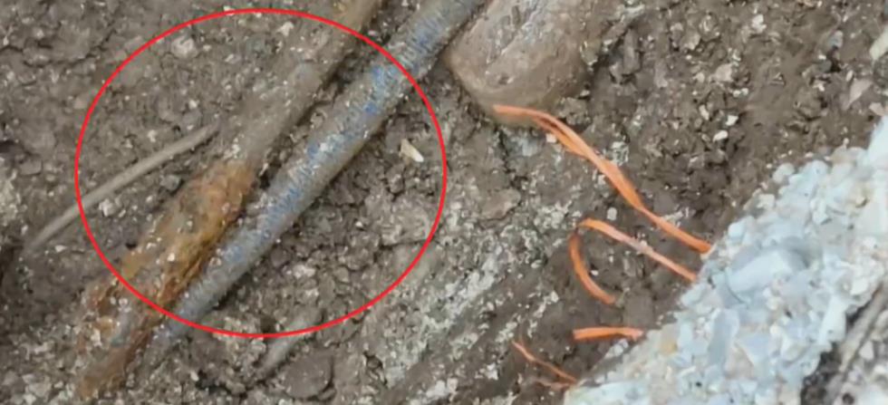 5404049548270020 image