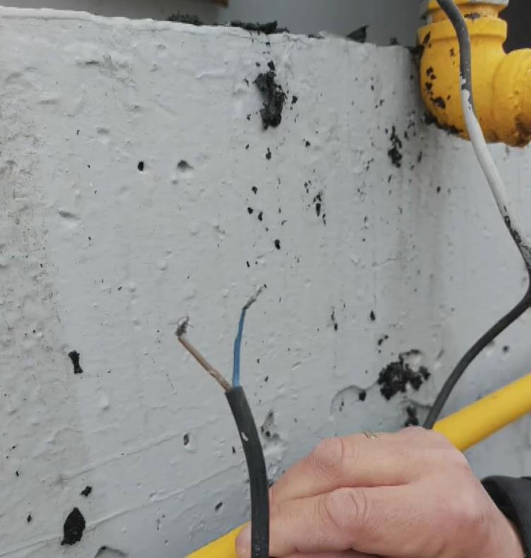 5404049597644668 image