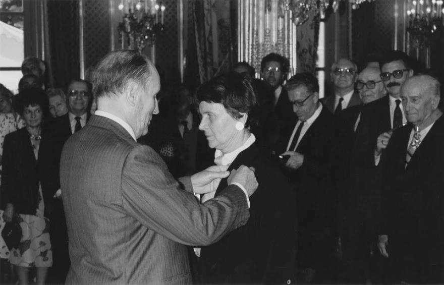 5405543964206568 image