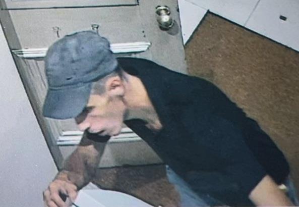 5407272937547033 image