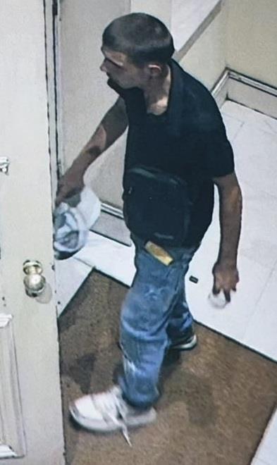 5407273014890304 image