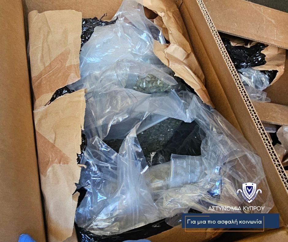 5407541882108585 image